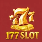 177 Slot
